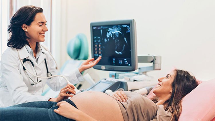 Follicular Study and Ultrasound Imaging